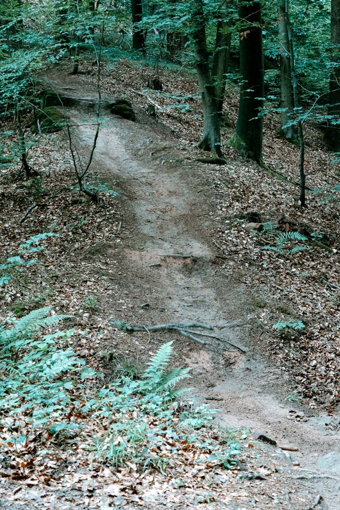 Trailtour Miltenberg